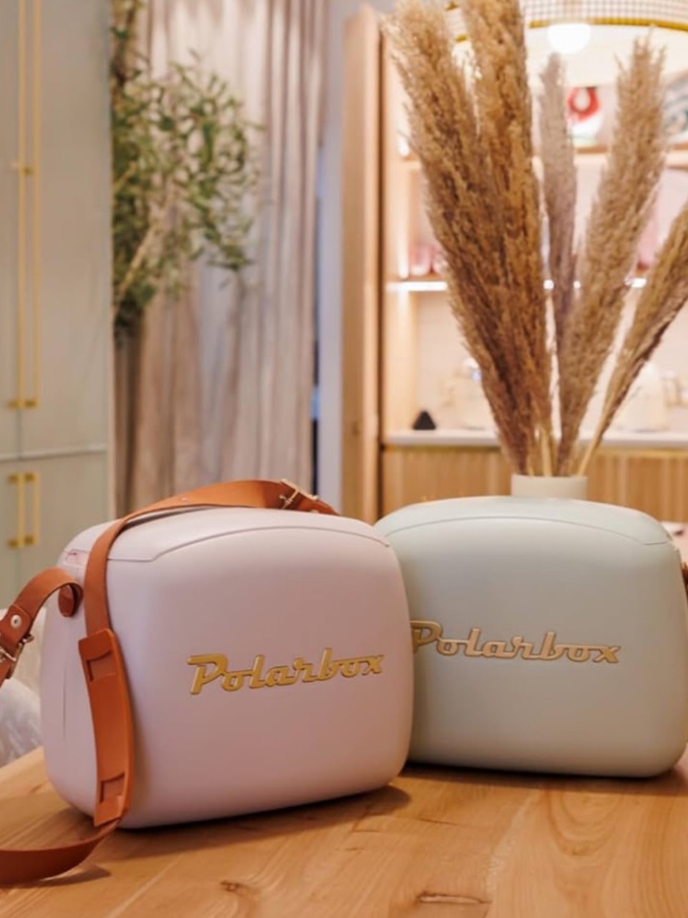 Polarbox cooler